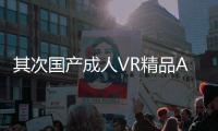 其次国产成人VR精品A视频